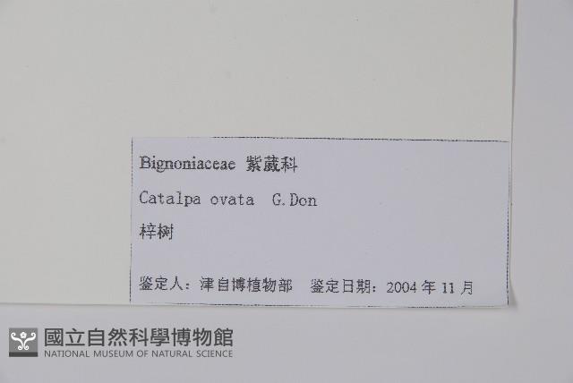 梓樹藏品圖，第2張