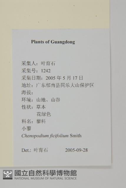 小藜藏品圖，第2張