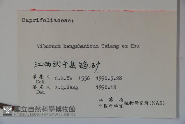 衡山莢迷藏品圖，第2張