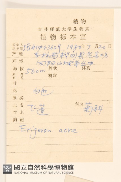 飛蓬藏品圖，第2張