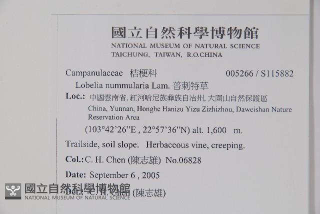 普刺特草藏品圖，第2張