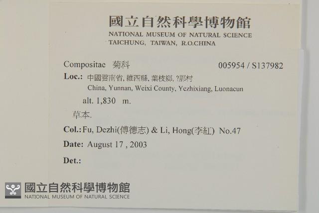 登錄號:S137982藏品圖，第2張