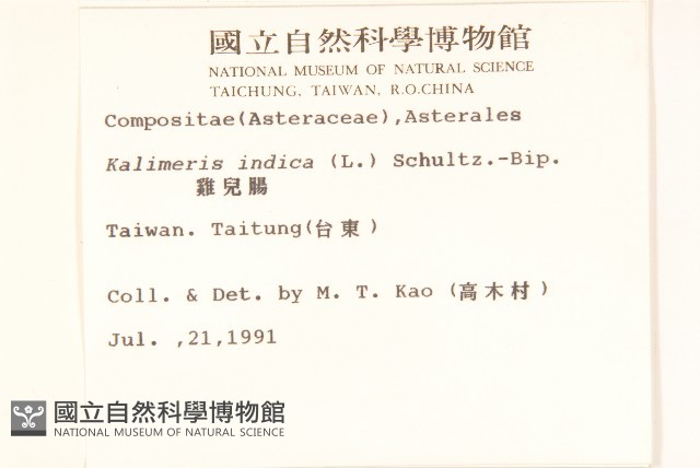 雞兒腸藏品圖，第2張