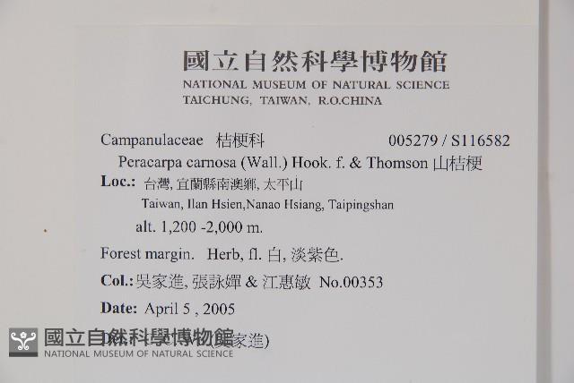 山桔梗藏品圖，第2張