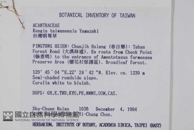 臺灣明萼草藏品圖，第2張