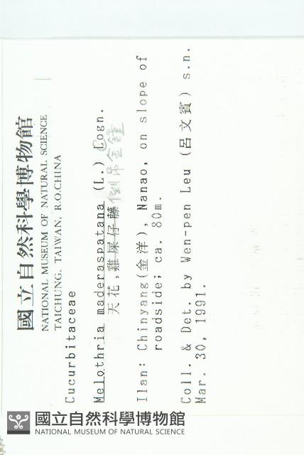 倒吊金鐘、天花藏品圖，第2張