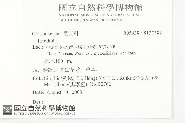 登錄號:S137582藏品圖，第2張