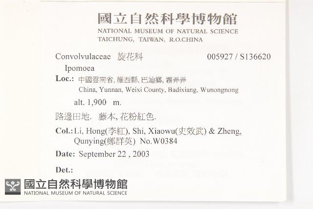 登錄號:S136620藏品圖，第2張