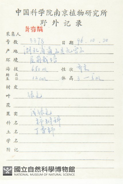 浙江柿藏品圖，第2張