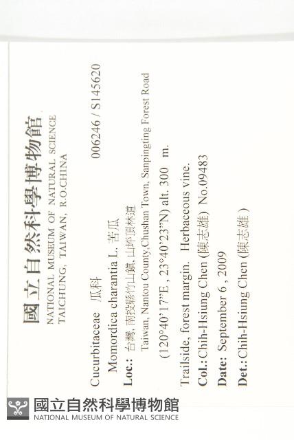 苦瓜藏品圖，第2張