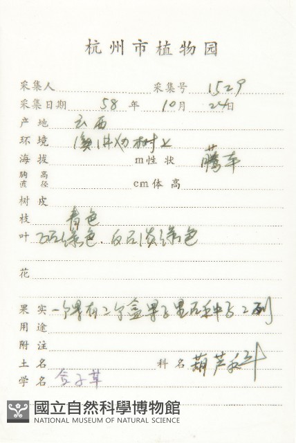 合子草藏品圖，第2張