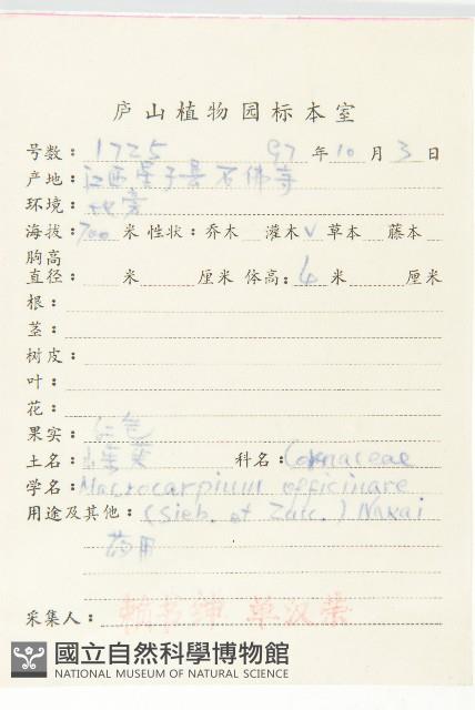 山茱萸藏品圖，第2張