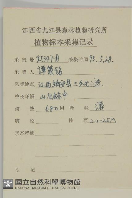 扶芳藤藏品圖，第2張