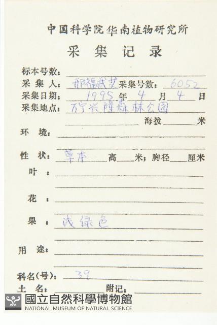 碎米薺藏品圖，第2張