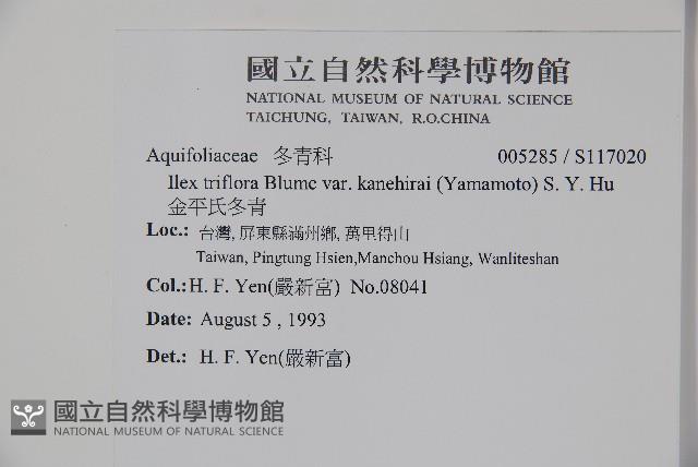 金平氏冬青藏品圖，第2張