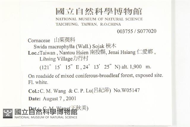 梜木藏品圖，第2張