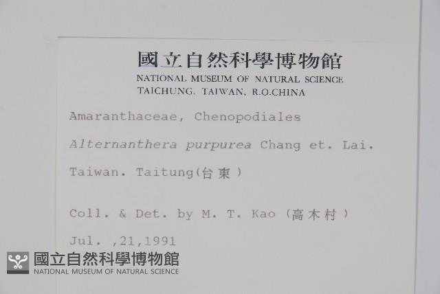 登錄號:S006720藏品圖，第2張