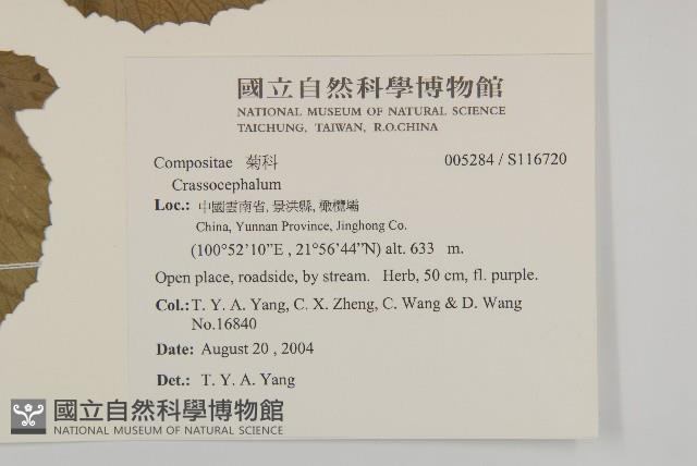 登錄號:S116720藏品圖，第2張