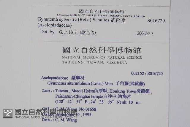 武靴藤藏品圖，第2張