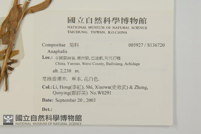 登錄號:S136720藏品圖，第2張