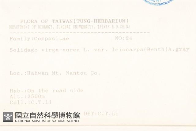 一枝黃花藏品圖，第2張