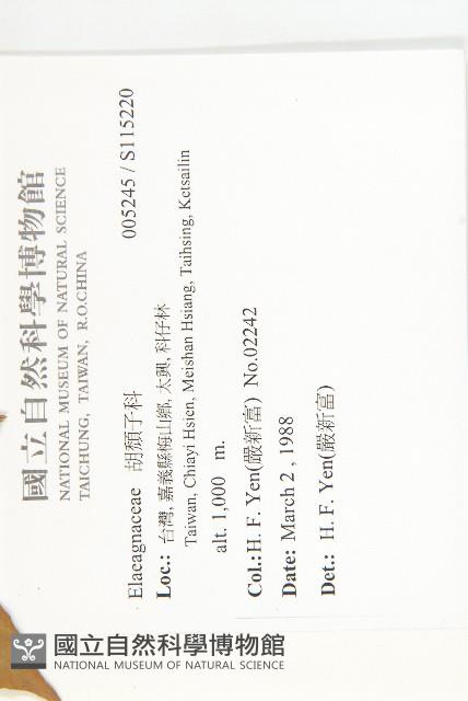 登錄號:S115220藏品圖，第2張