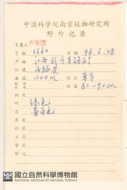 佩蘭、澤蘭藏品圖，第2張