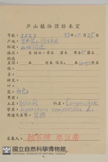 霍香薊藏品圖，第2張