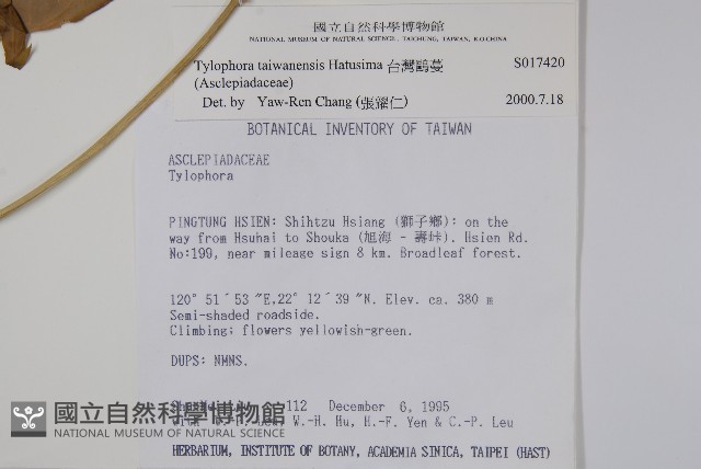 台灣鷗蔓藏品圖，第2張