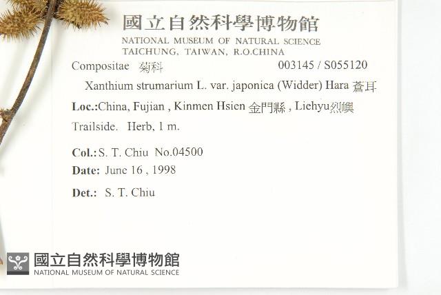 蒼耳藏品圖，第2張