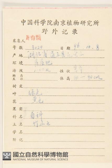 三七草藏品圖，第2張