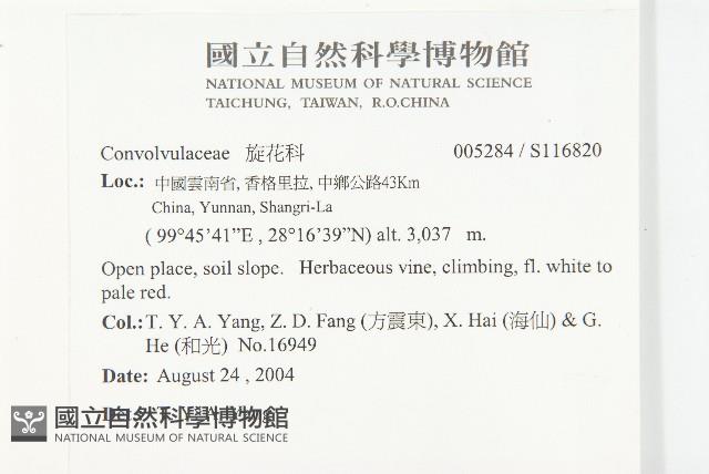 登錄號:S116820藏品圖，第2張