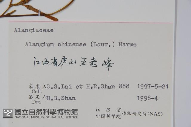 八角楓藏品圖，第2張