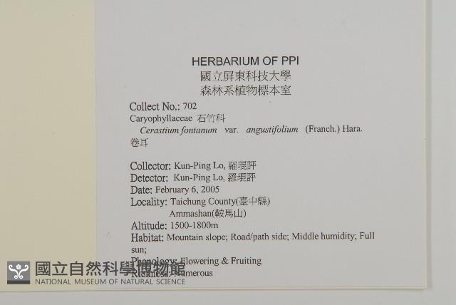 卷耳藏品圖，第2張