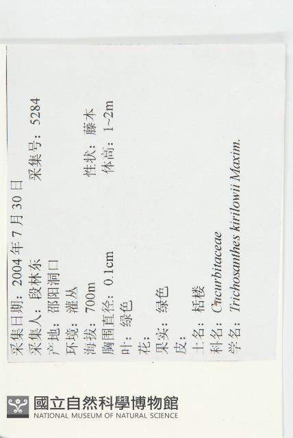 括樓藏品圖，第2張