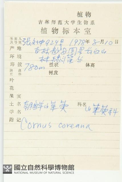 朝鮮山茱萸藏品圖，第2張