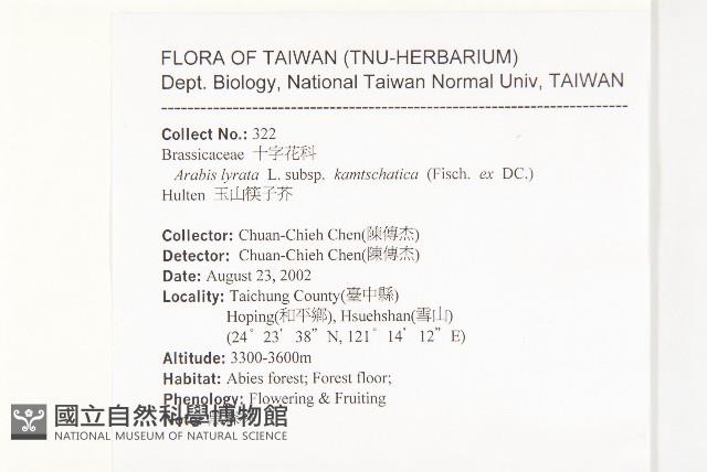 玉山筷子芥藏品圖，第2張