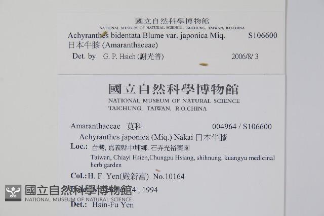 Accession Number:S106600 Collection Image, Figure 2, Total 2 Figures