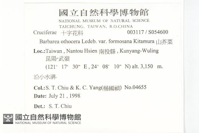 山芥菜藏品圖，第2張