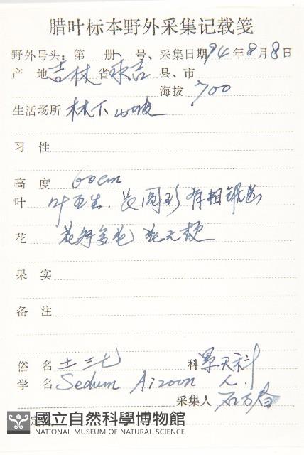 費菜藏品圖，第2張