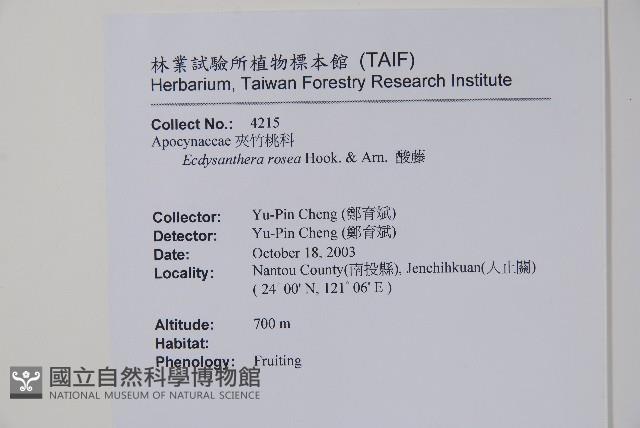 酸藤藏品圖，第2張