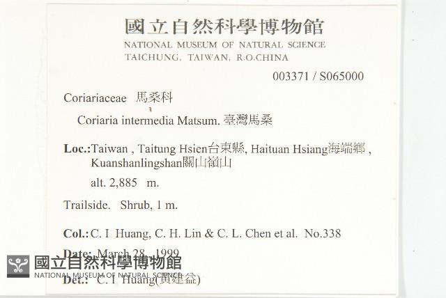 臺灣馬桑藏品圖，第2張