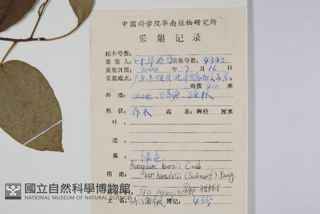 雲山金角楓藏品圖，第2張