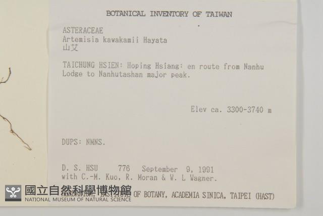 山艾藏品圖，第2張