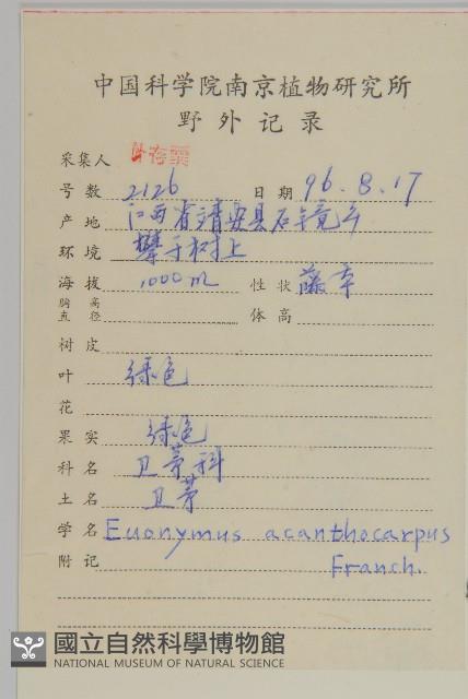 刺果衛矛藏品圖，第2張