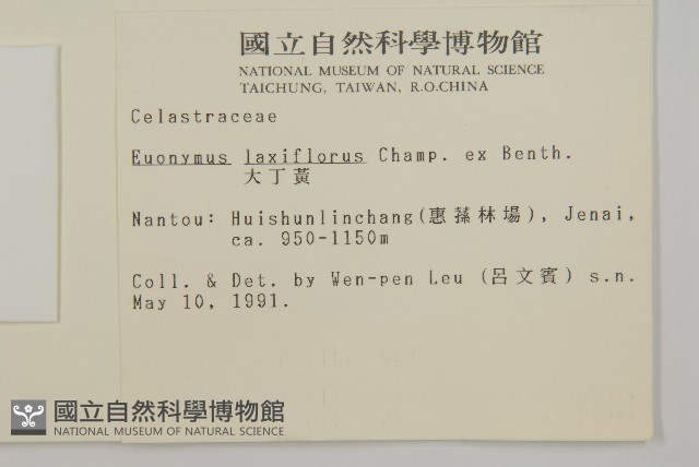 大丁黃藏品圖，第2張