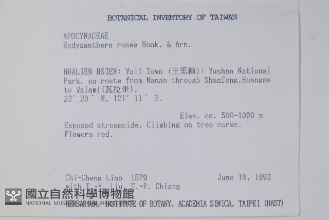 酸藤藏品圖，第2張