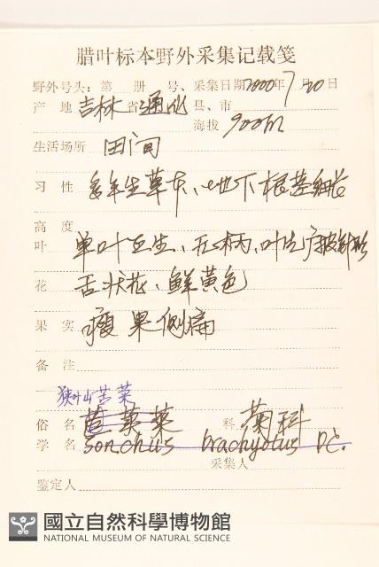 狹葉山苦菜藏品圖，第2張