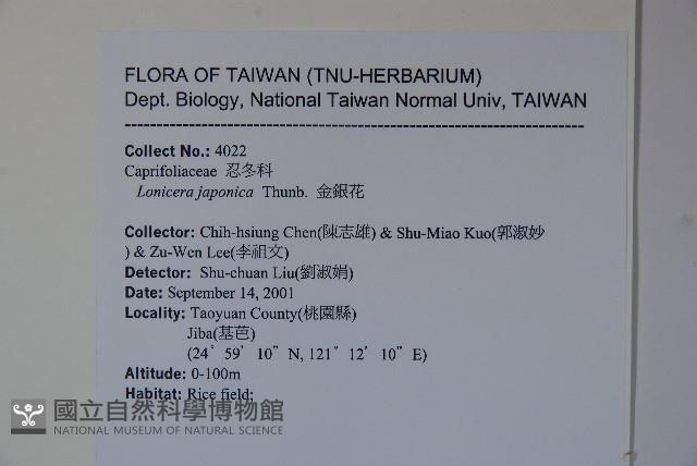 忍冬、金銀花藏品圖，第2張