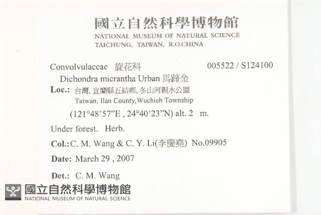 馬蹄金藏品圖，第2張